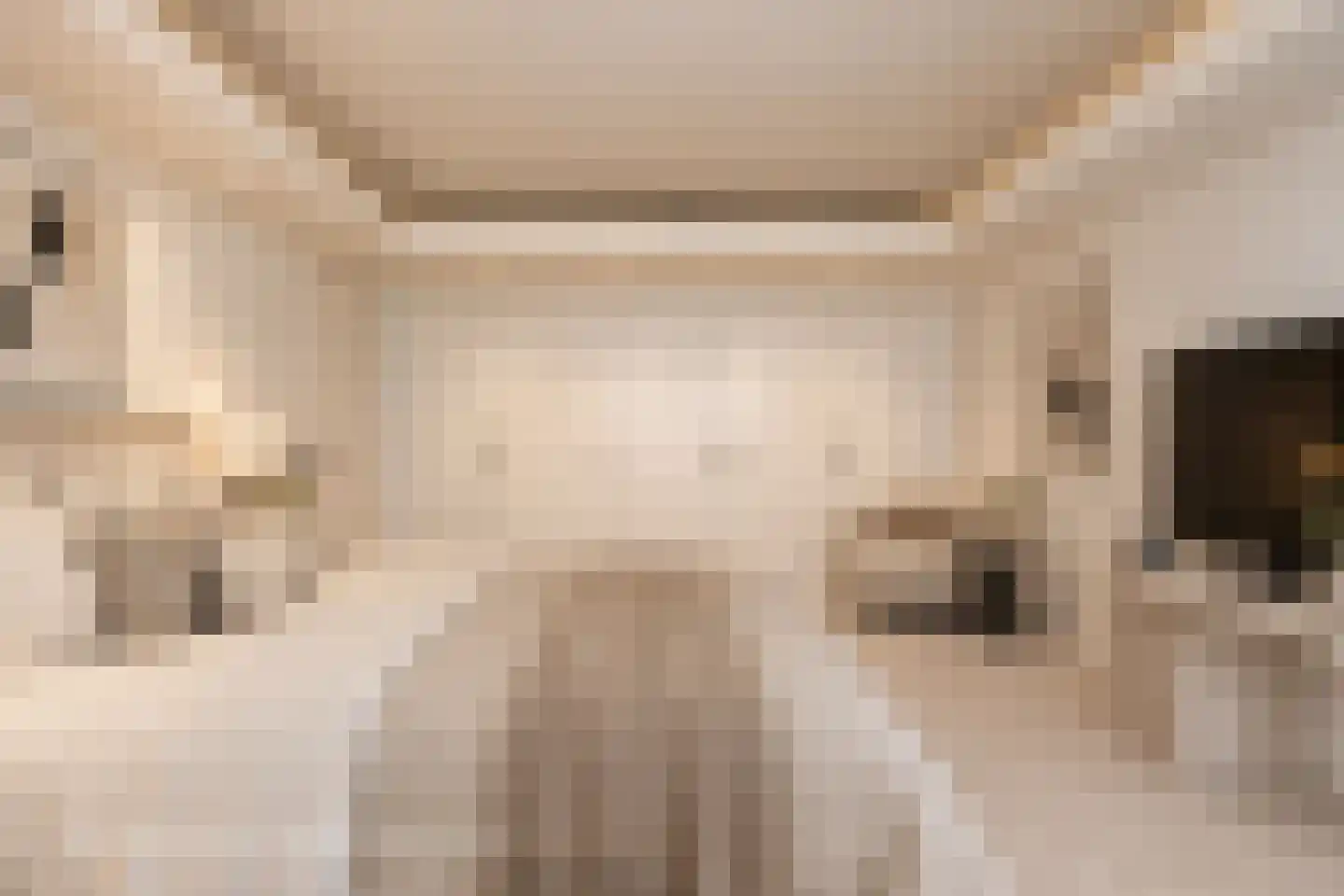 Akeleilaan 9 Sint-Michielsgestel thumbnail 10