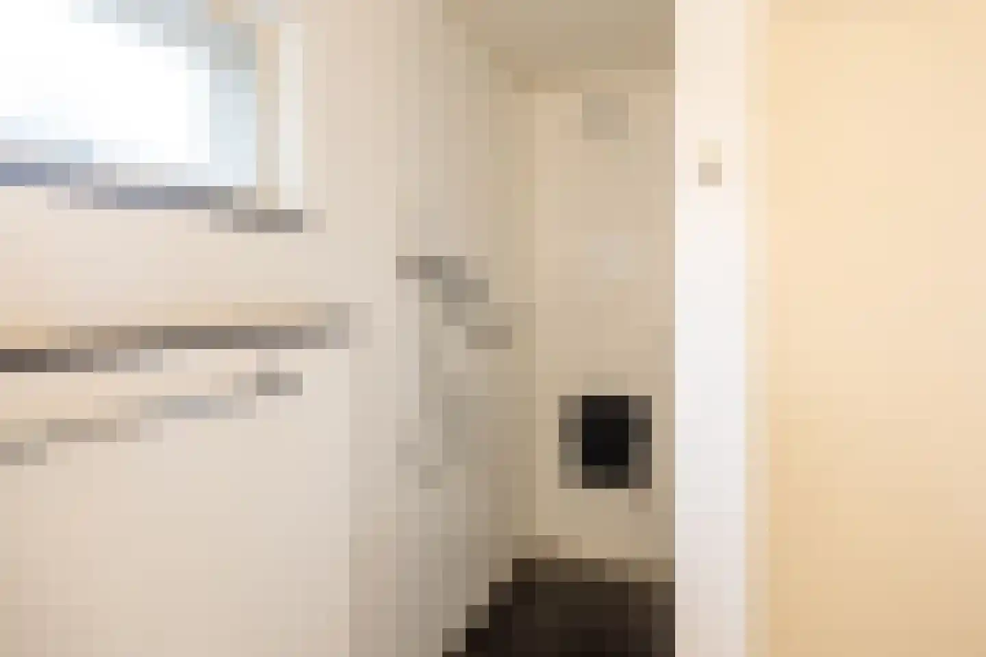 Akeleilaan 9 Sint-Michielsgestel thumbnail 11