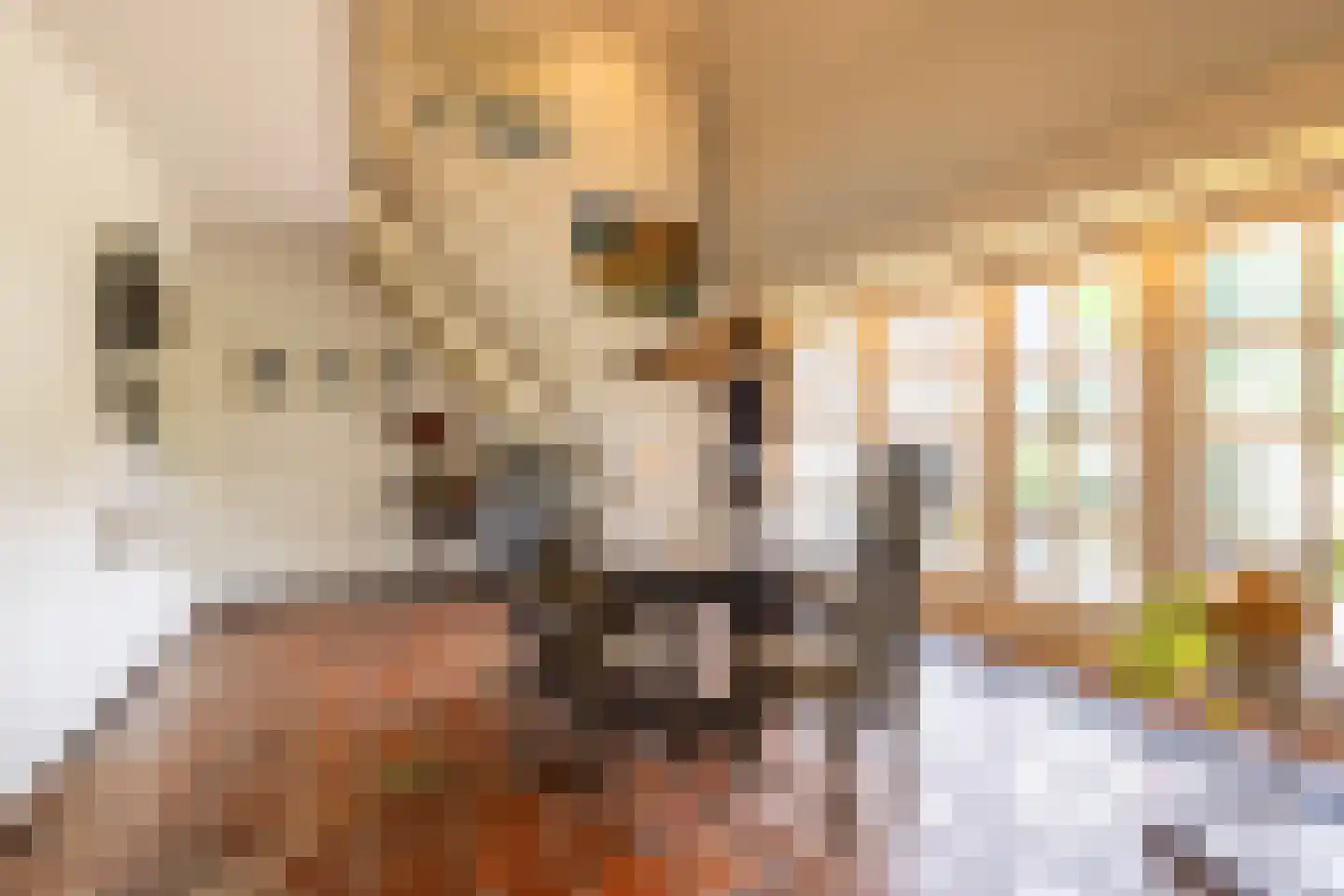 Akeleilaan 9 Sint-Michielsgestel thumbnail 13
