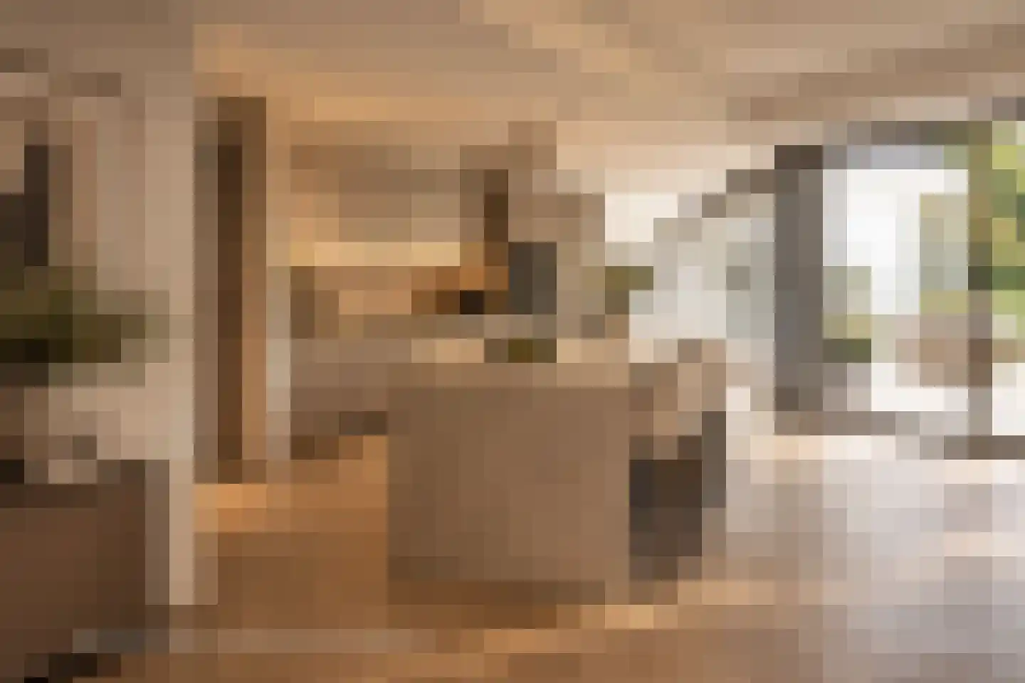 Akeleilaan 9 Sint-Michielsgestel thumbnail 20