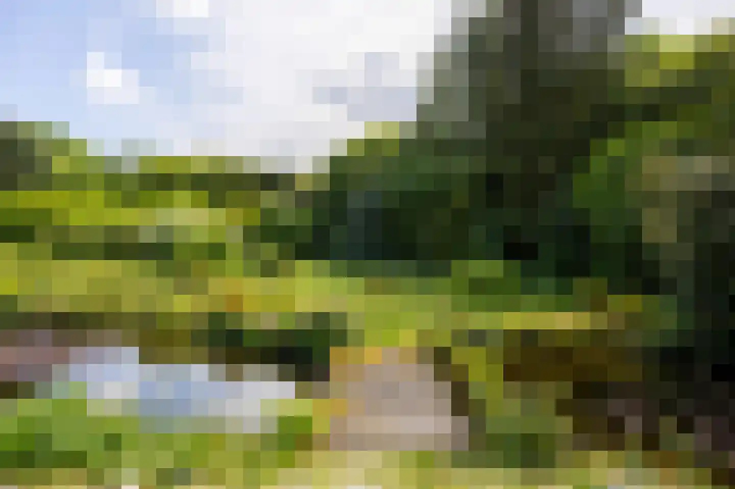 Akeleilaan 9 Sint-Michielsgestel thumbnail 40