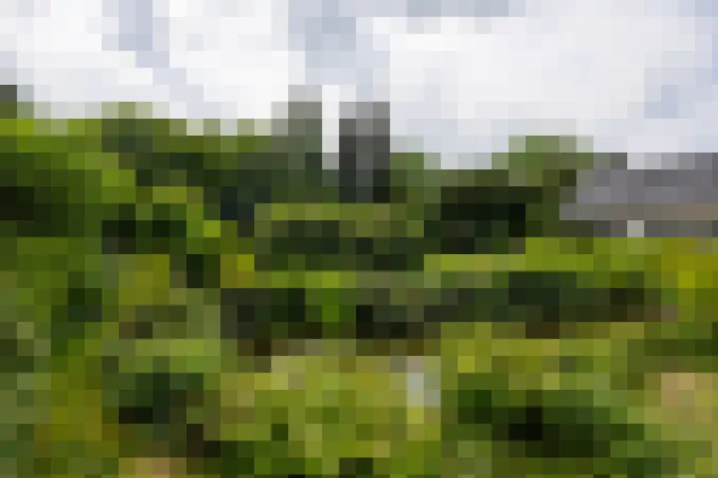 Akeleilaan 9 Sint-Michielsgestel thumbnail 47