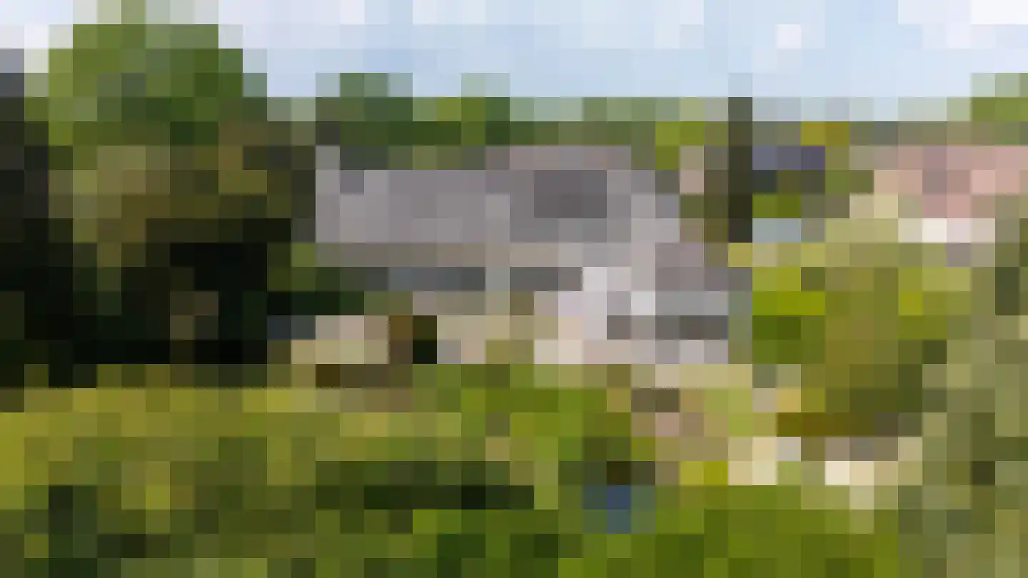 Akeleilaan 9 Sint-Michielsgestel thumbnail 51