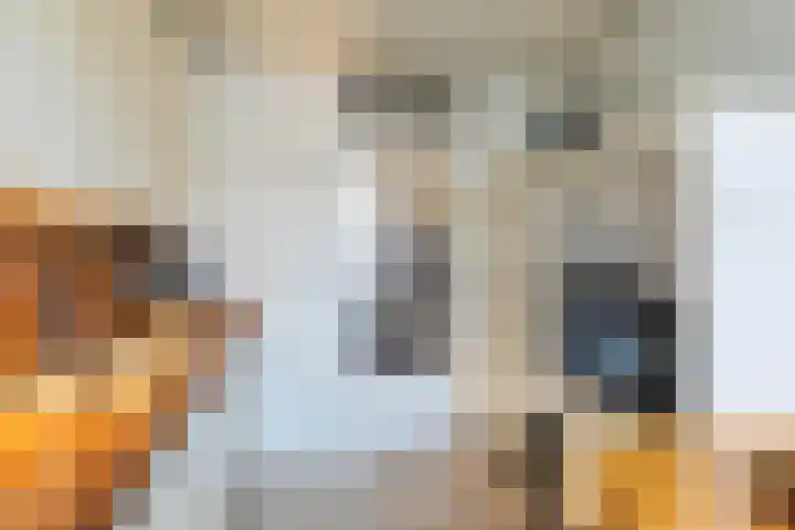 Akeleilaan 9 Waalre thumbnail 20