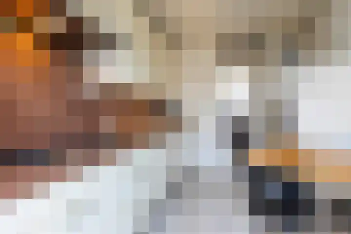 Akeleilaan 9 Waalre foto 3