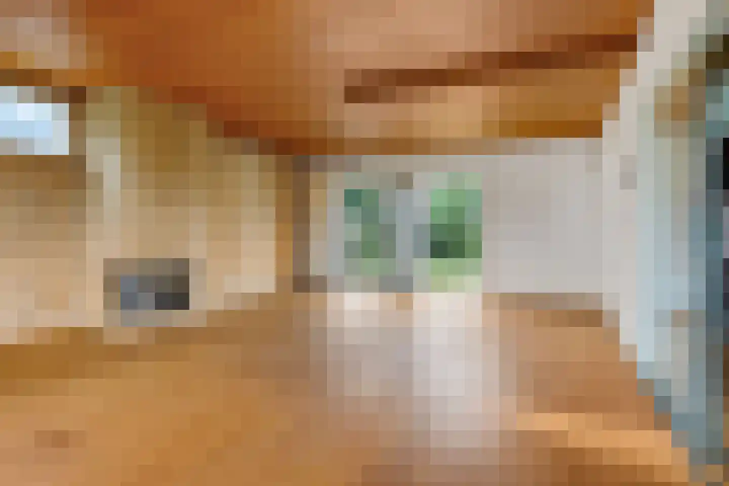 Akeleistraat 1 Ittervoort thumbnail 10