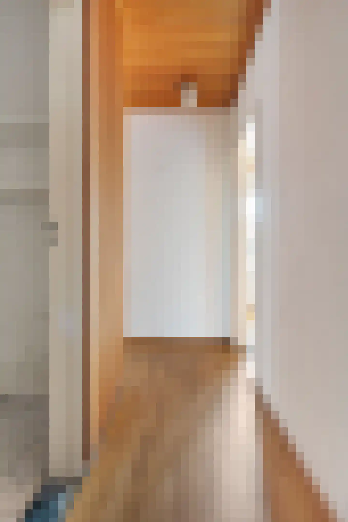 Akeleistraat 1 Ittervoort thumbnail 18