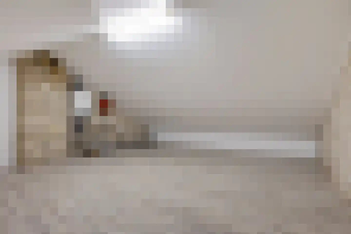 Akeleistraat 1 Ittervoort thumbnail 33