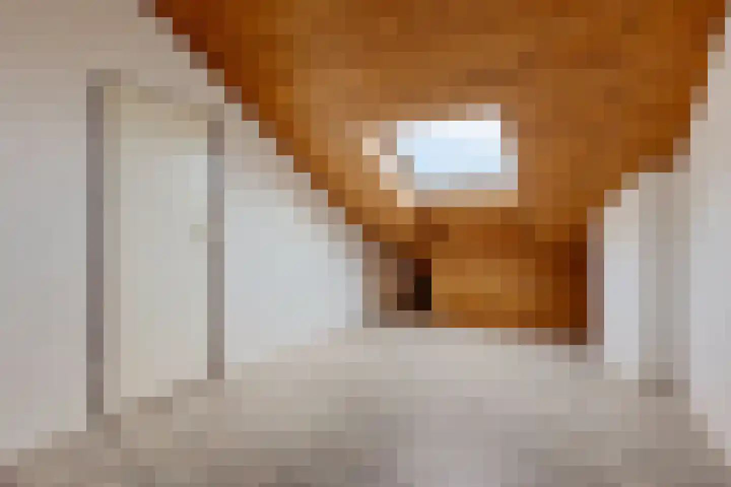 Akeleistraat 1 Ittervoort thumbnail 35