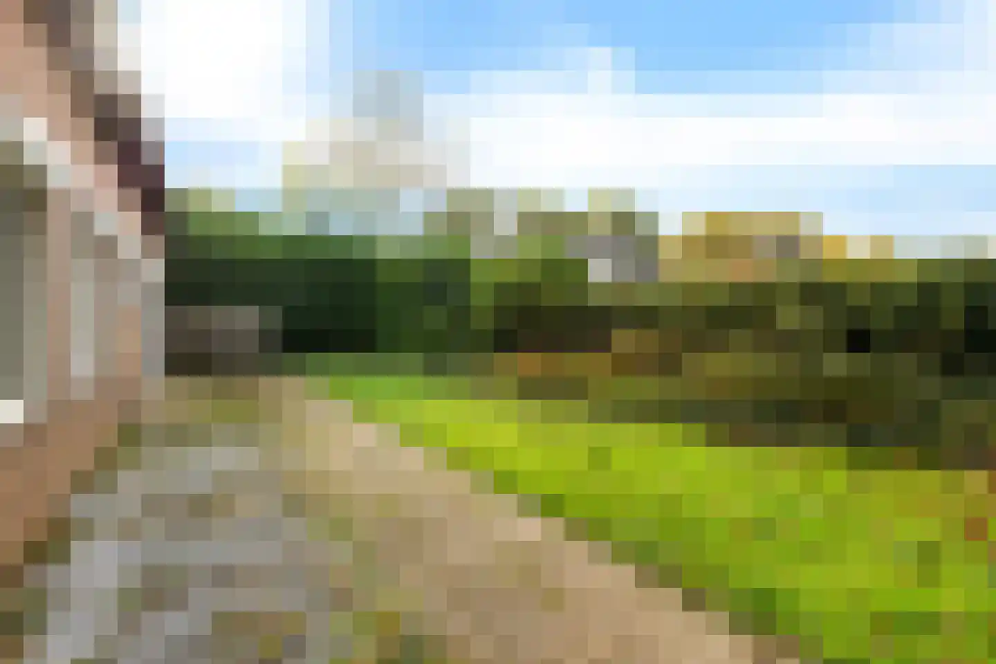Akeleistraat 1 Ittervoort thumbnail 46