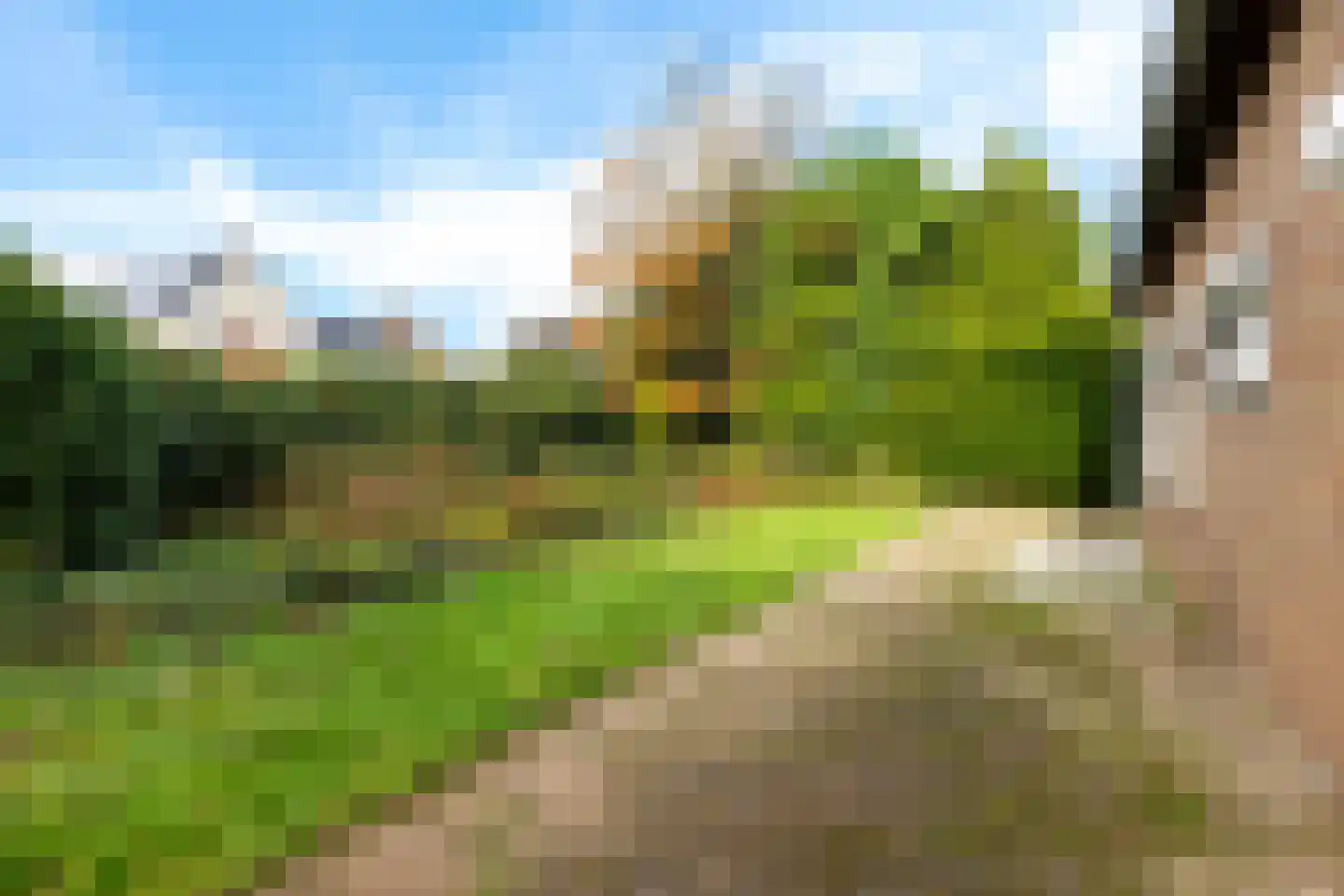 Akeleistraat 1 Ittervoort thumbnail 47