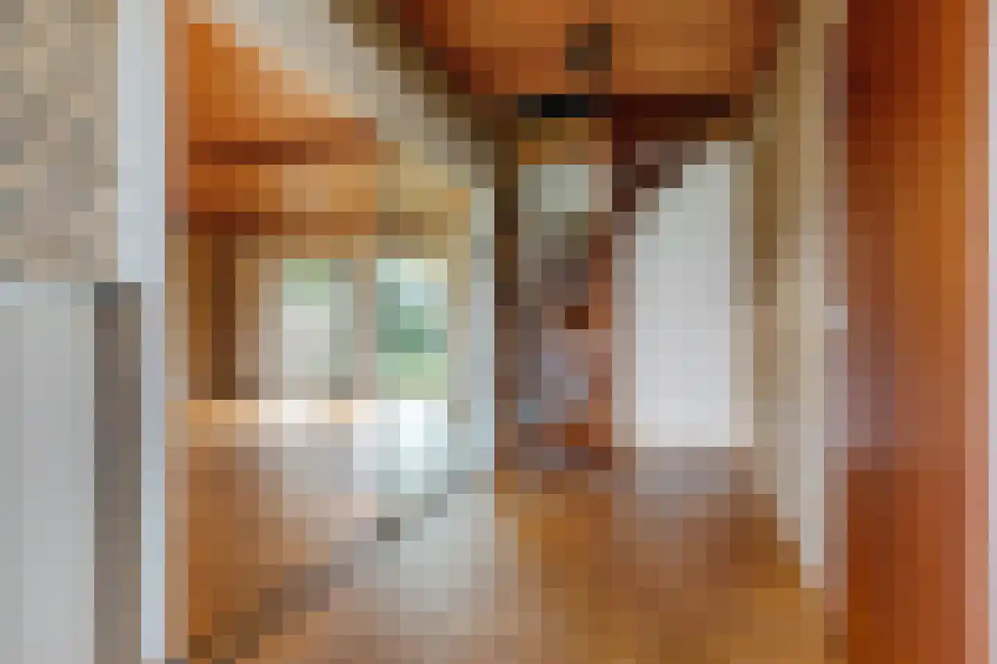 Akeleistraat 1 Ittervoort thumbnail 5