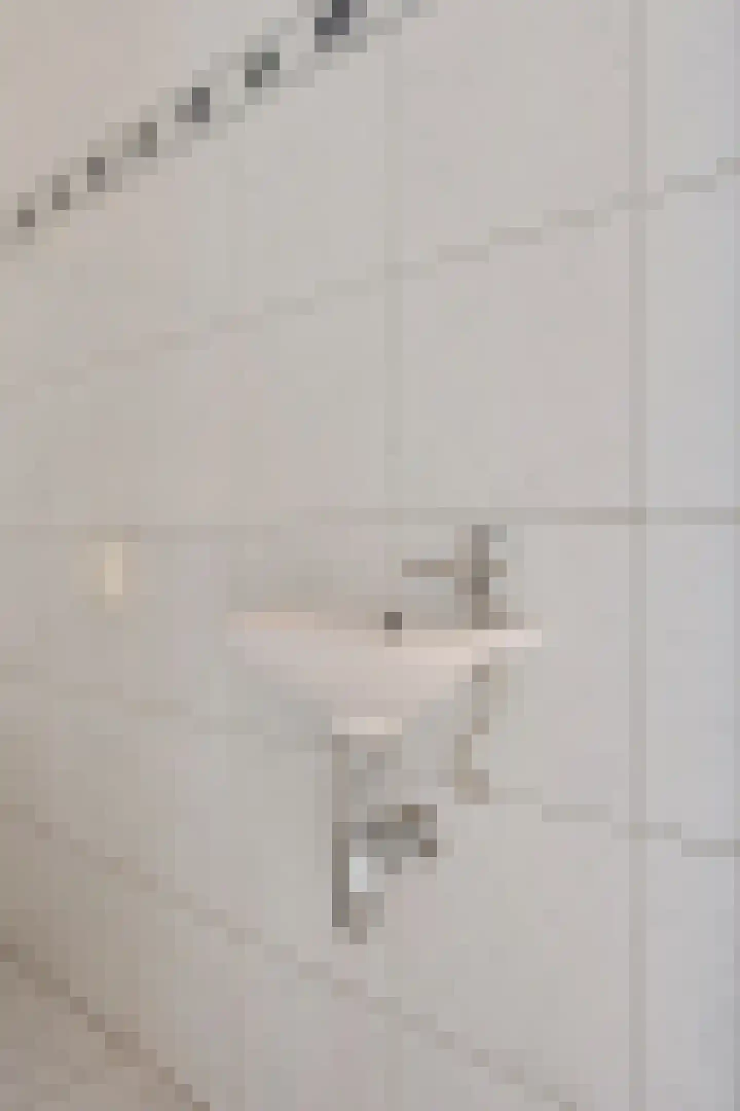 Akeleistraat 1 Ittervoort thumbnail 7