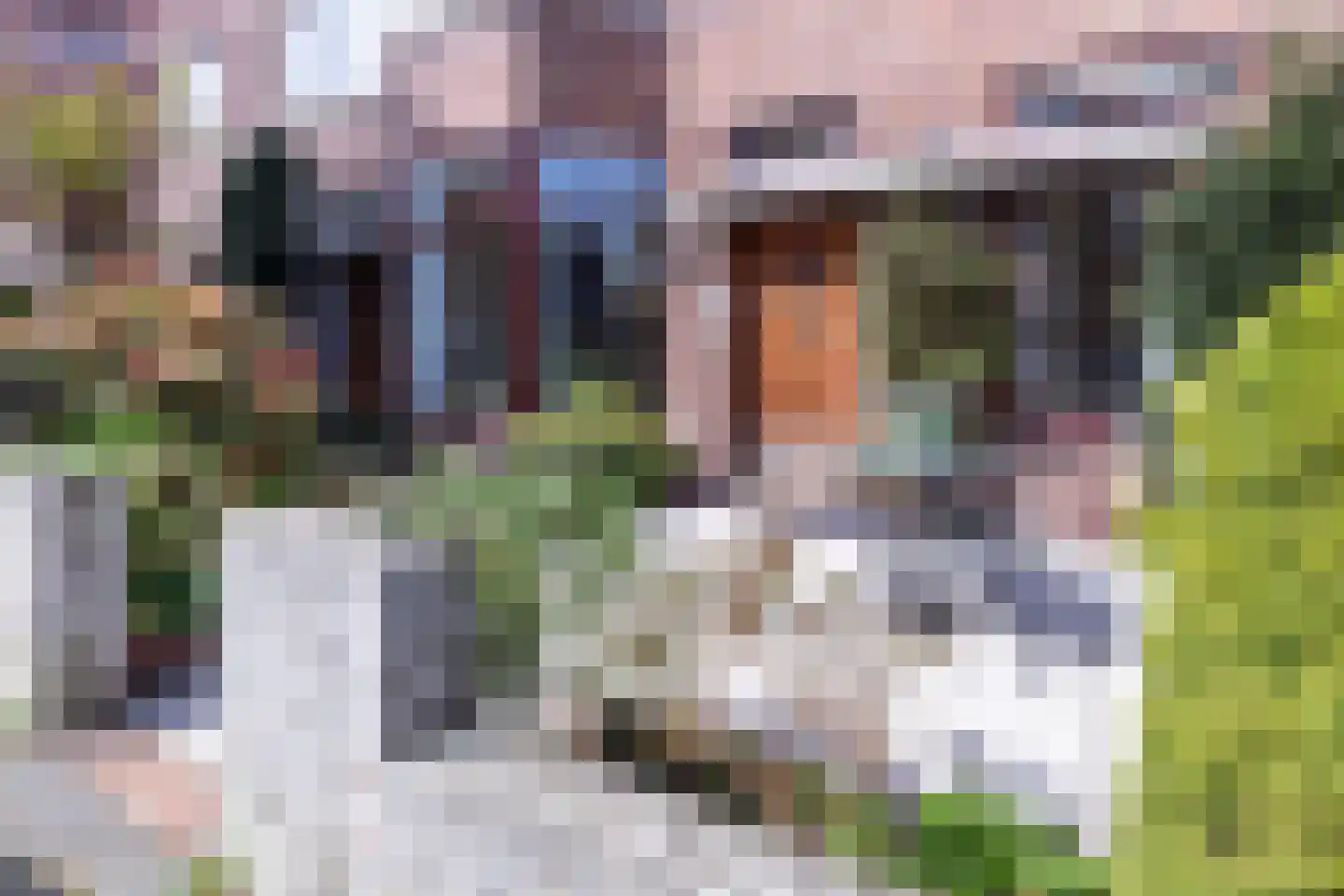 Akeleistraat 101 Den Haag thumbnail 35