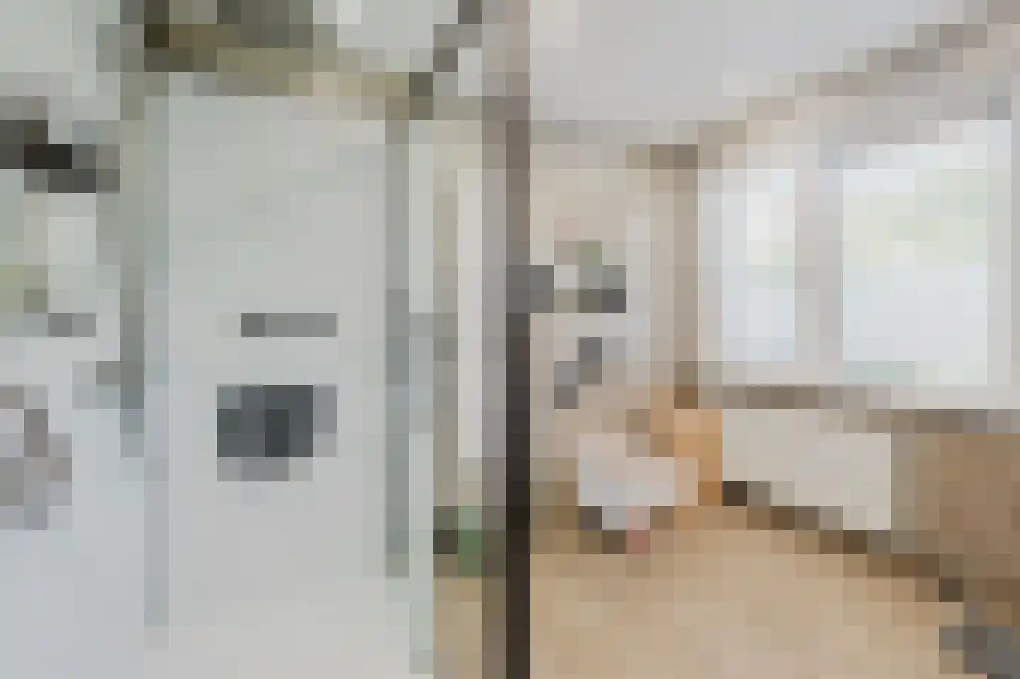 Akeleistraat 11 Spijkenisse thumbnail 22