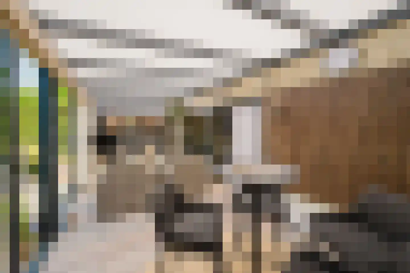Akeleistraat 11 Spijkenisse thumbnail 31