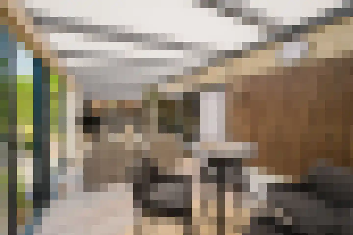 Akeleistraat 11 Spijkenisse thumbnail 31