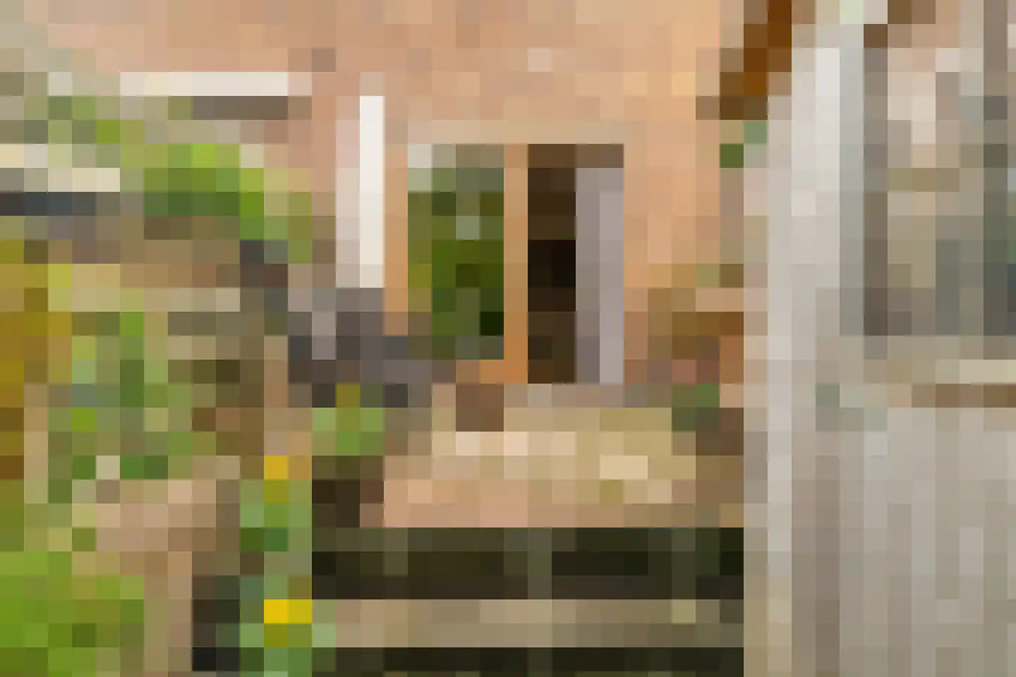 Akeleistraat 13 Alkmaar thumbnail 25