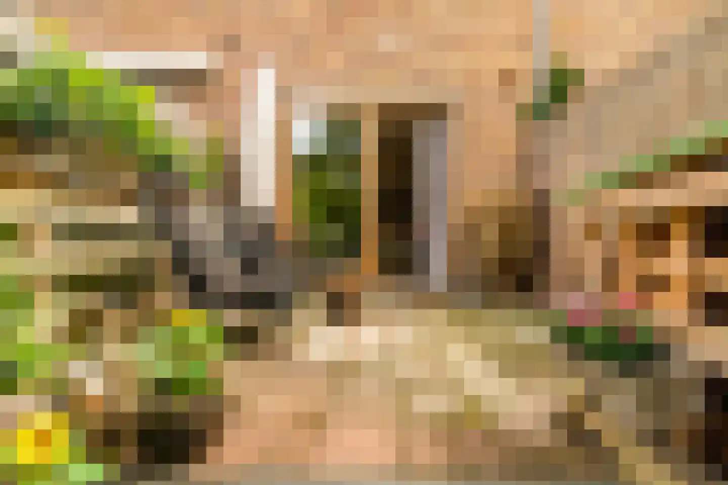 Akeleistraat 13 Alkmaar thumbnail 26