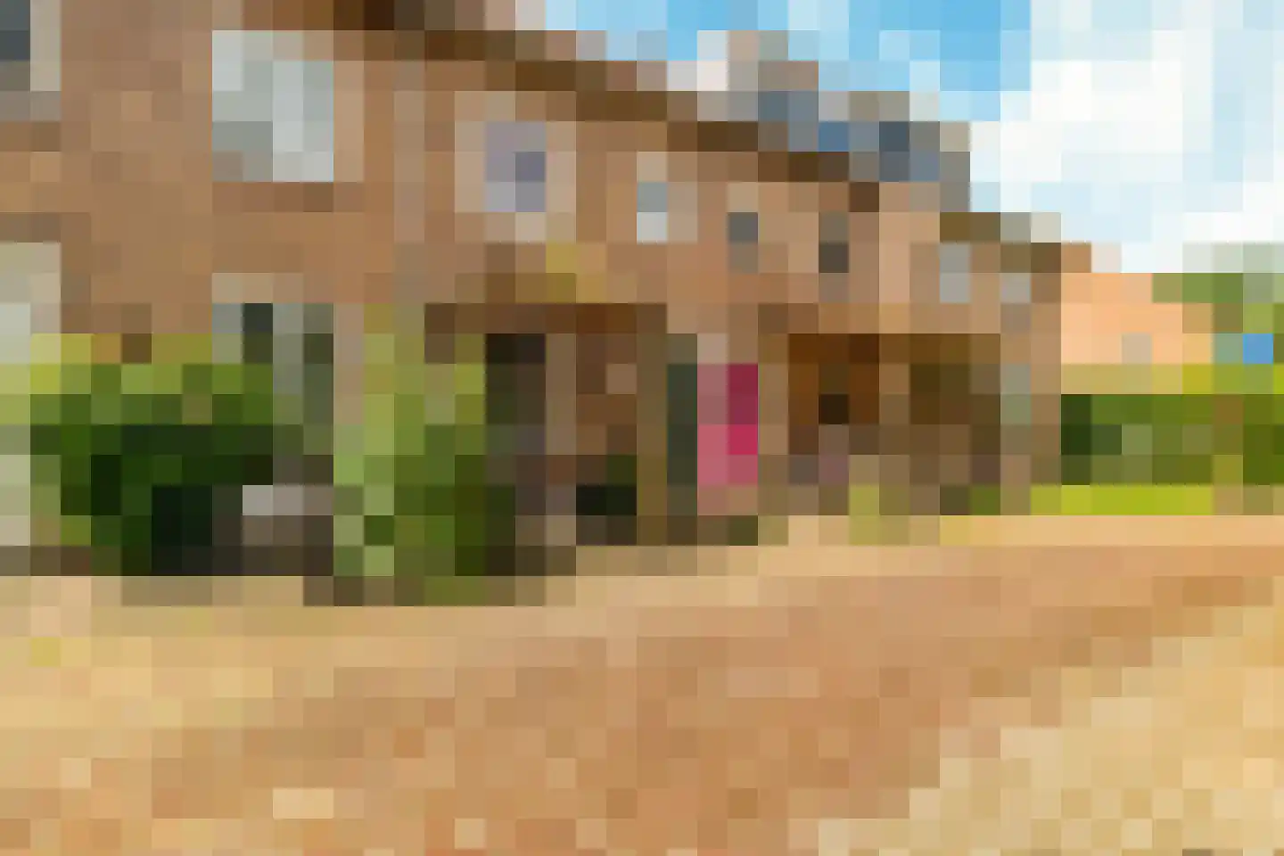 Akeleistraat 13 Alkmaar thumbnail 6