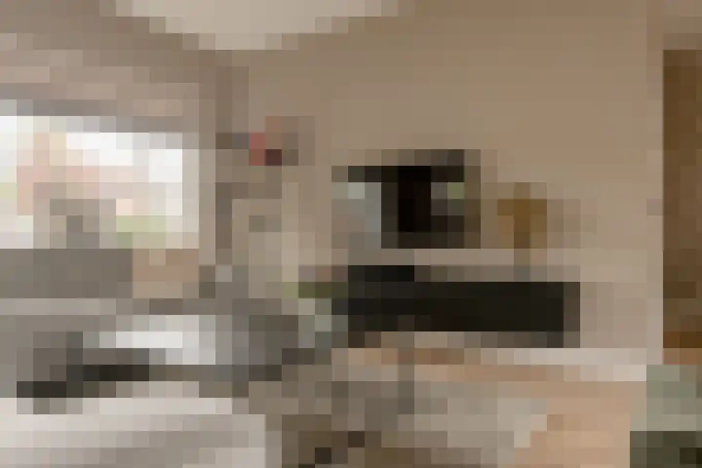 Akeleistraat 14 Wierden thumbnail 13