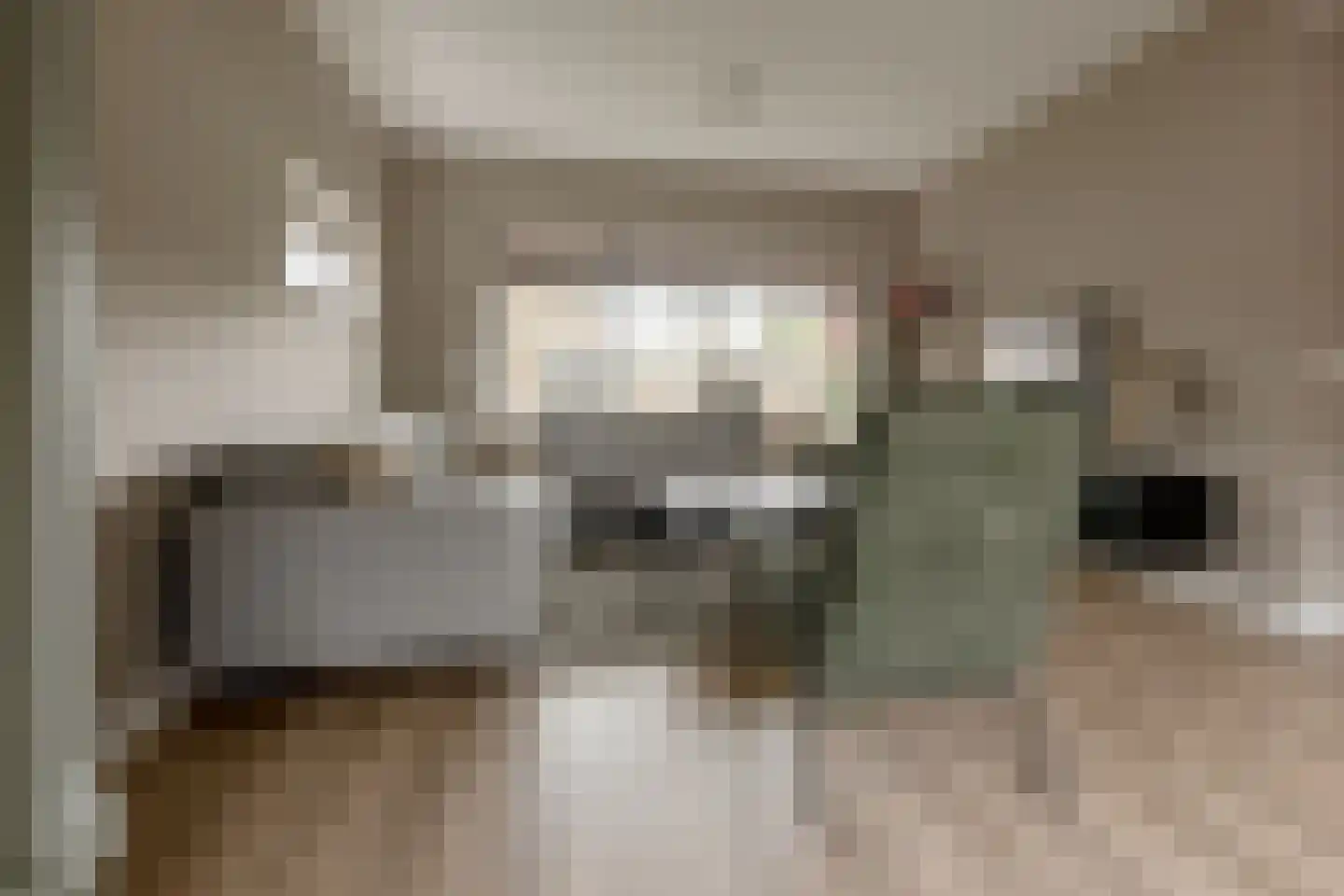 Akeleistraat 14 Wierden thumbnail 14
