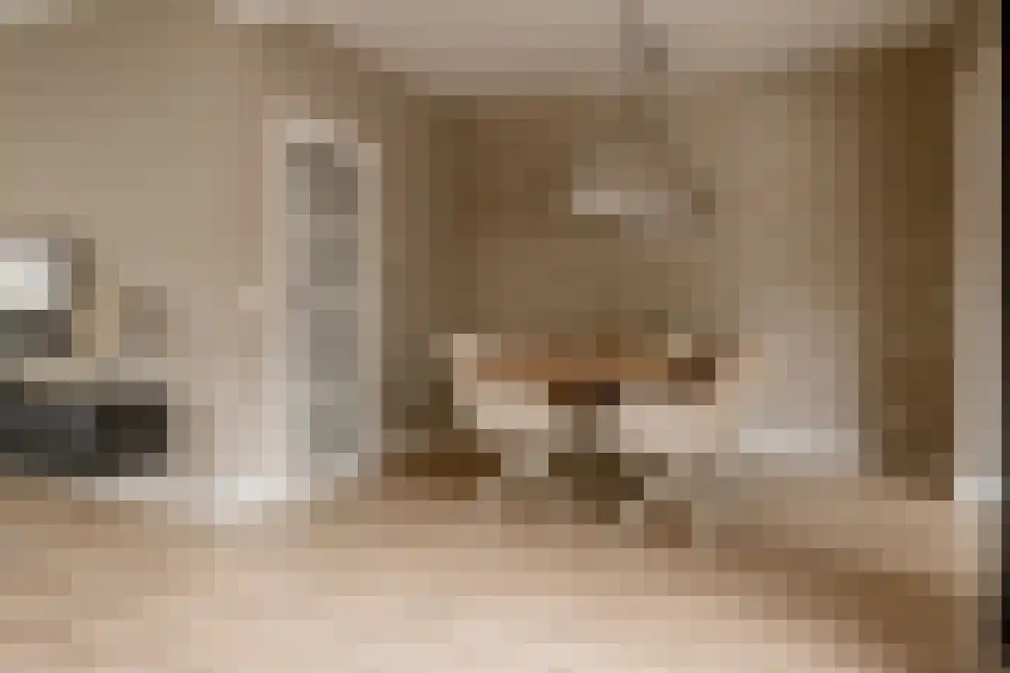 Akeleistraat 14 Wierden thumbnail 17