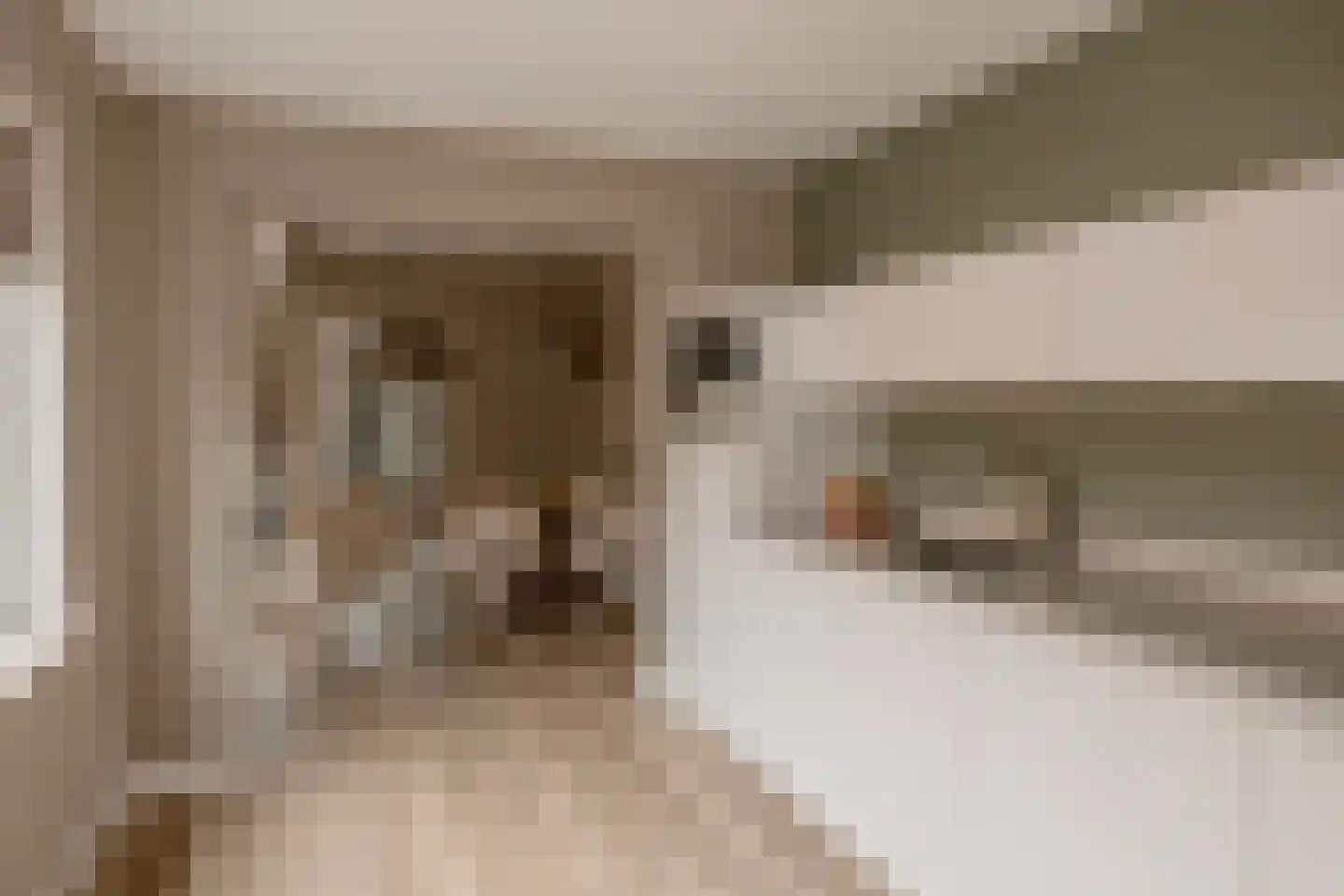 Akeleistraat 14 Wierden thumbnail 19