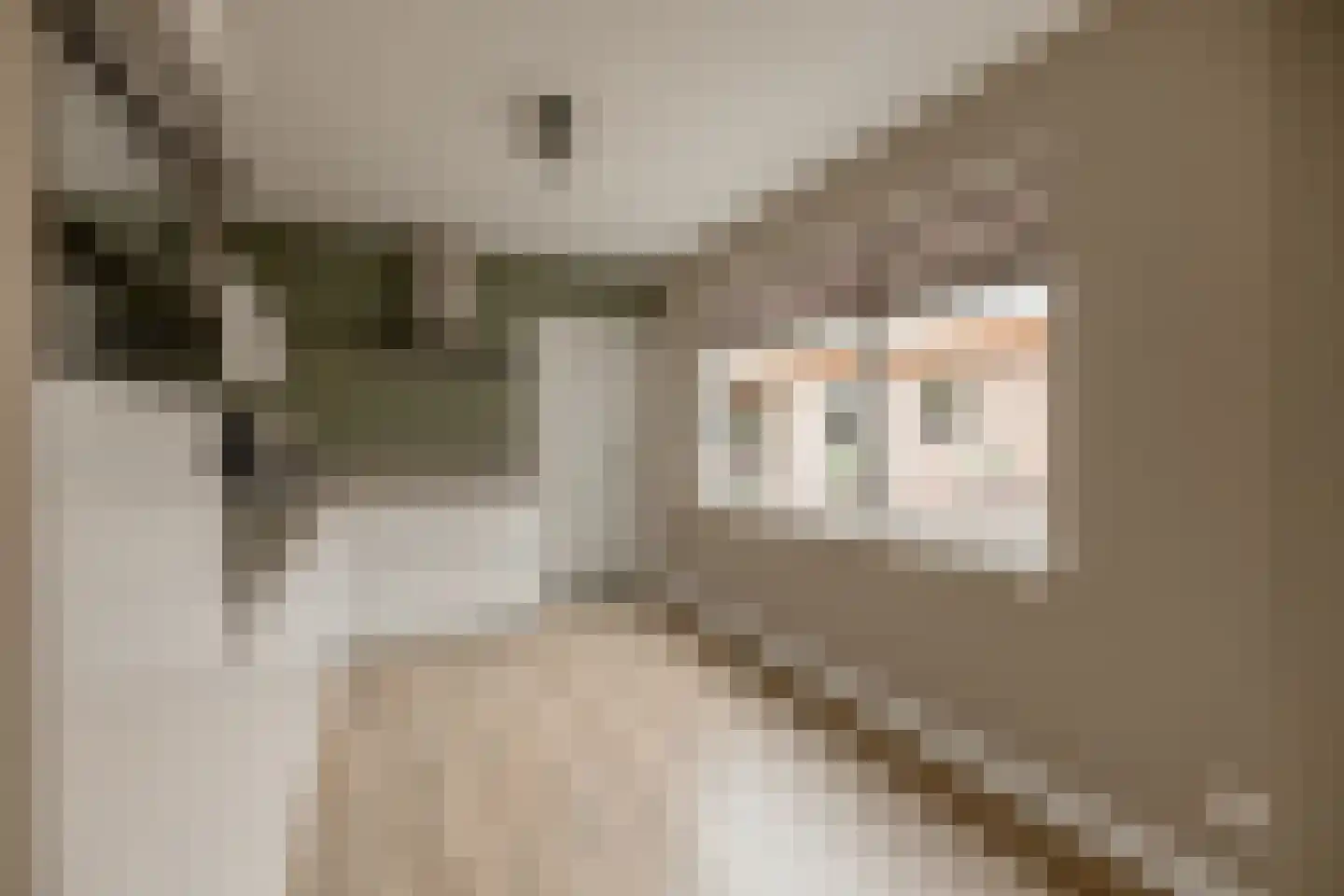 Akeleistraat 14 Wierden thumbnail 20