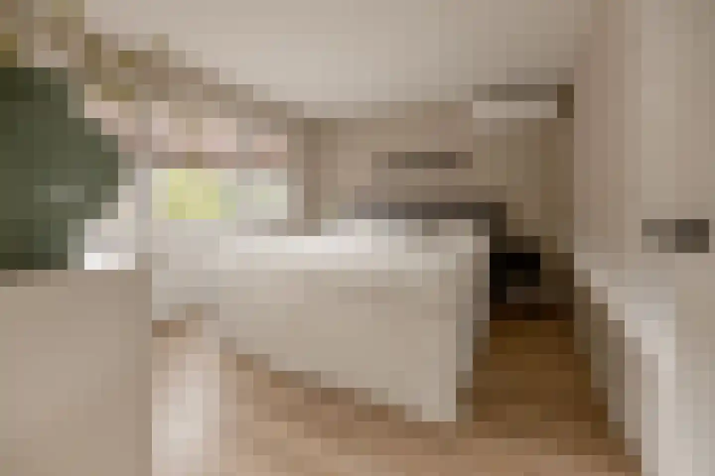 Akeleistraat 14 Wierden thumbnail 26