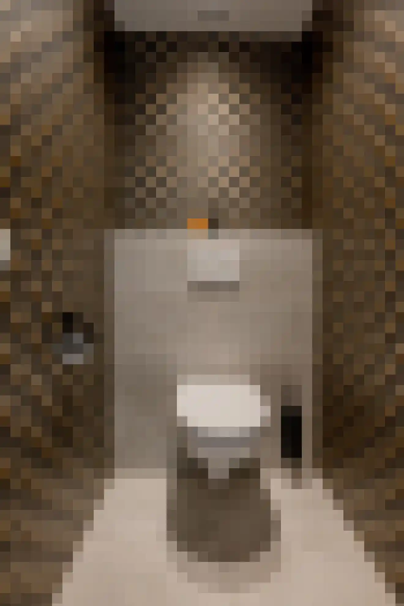 Akeleistraat 14 Wierden thumbnail 31