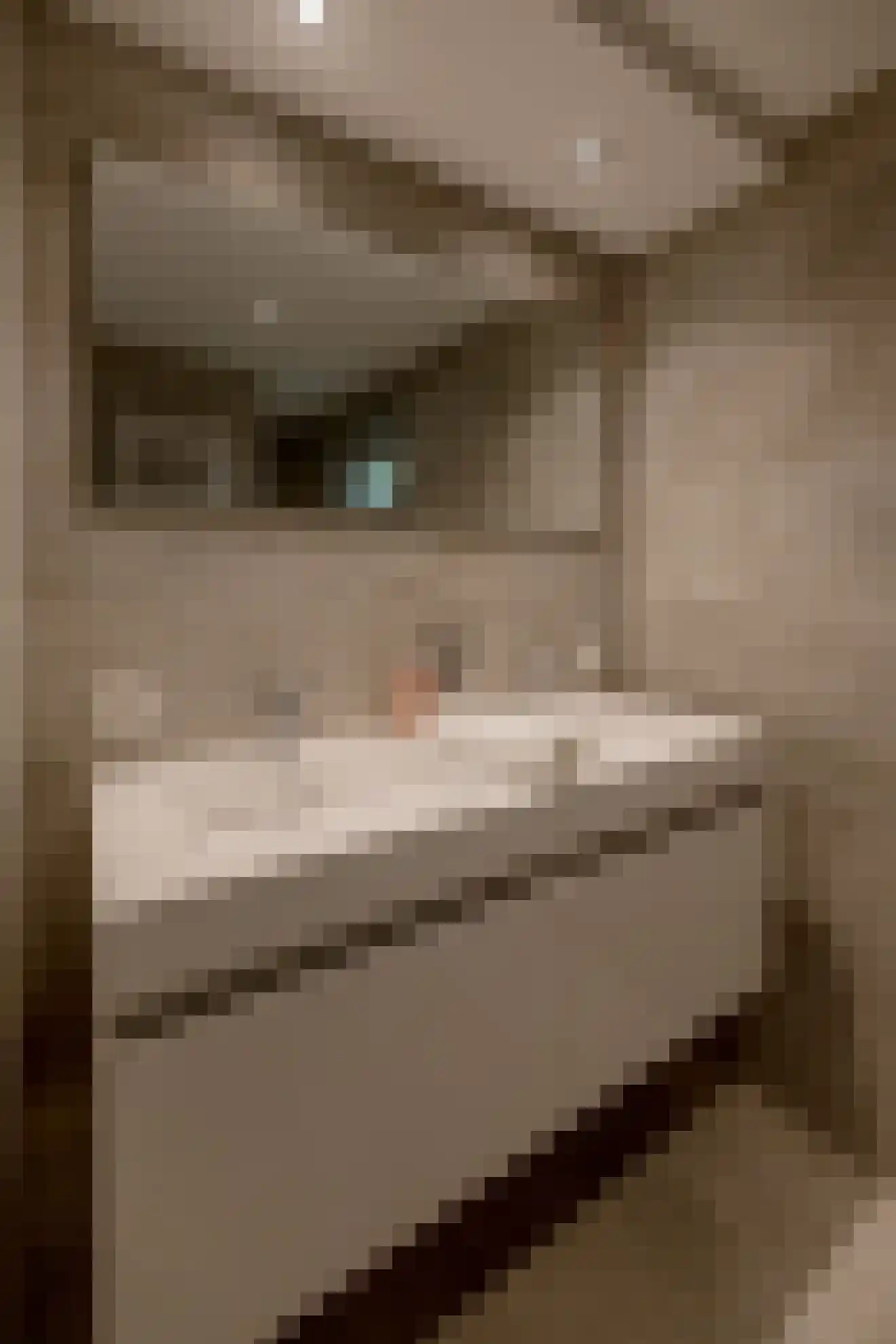 Akeleistraat 14 Wierden thumbnail 33