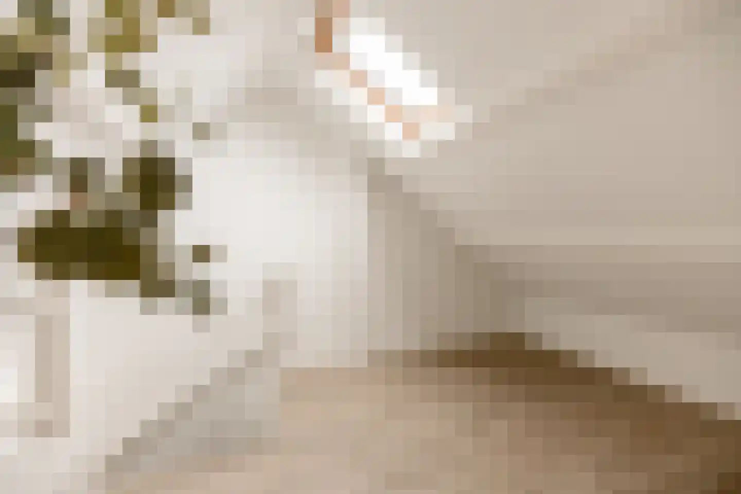Akeleistraat 14 Wierden thumbnail 34
