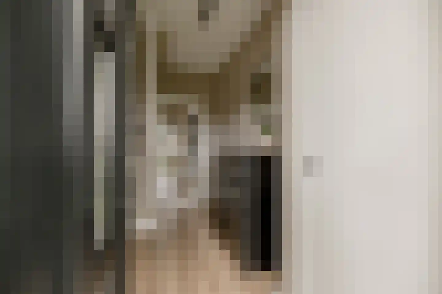 Akeleistraat 14 Wierden thumbnail 8