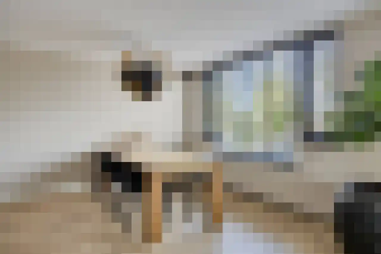 Akeleistraat 17 's-Hertogenbosch thumbnail 10