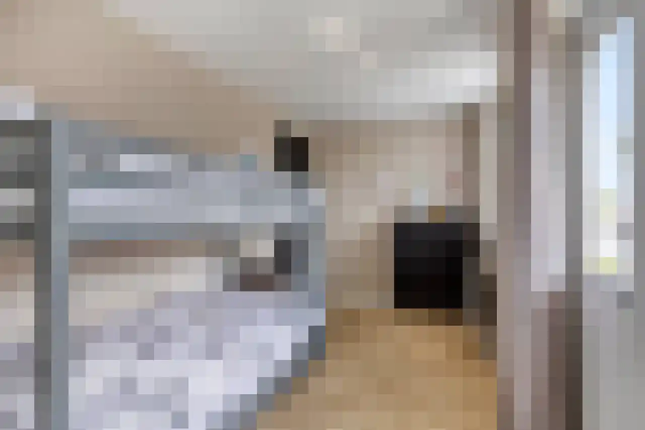 Akeleistraat 17 's-Hertogenbosch thumbnail 32