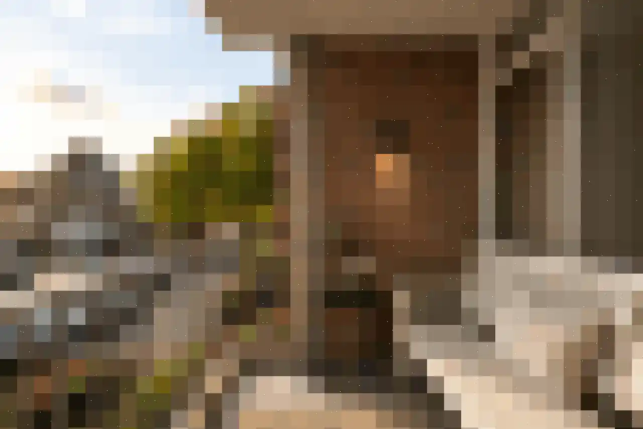 Akeleistraat 17 's-Hertogenbosch thumbnail 33