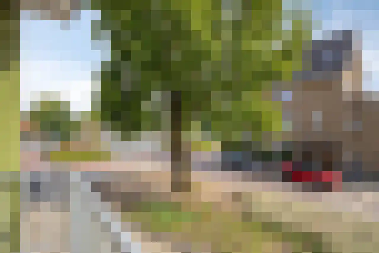 Akeleistraat 17 's-Hertogenbosch thumbnail 35