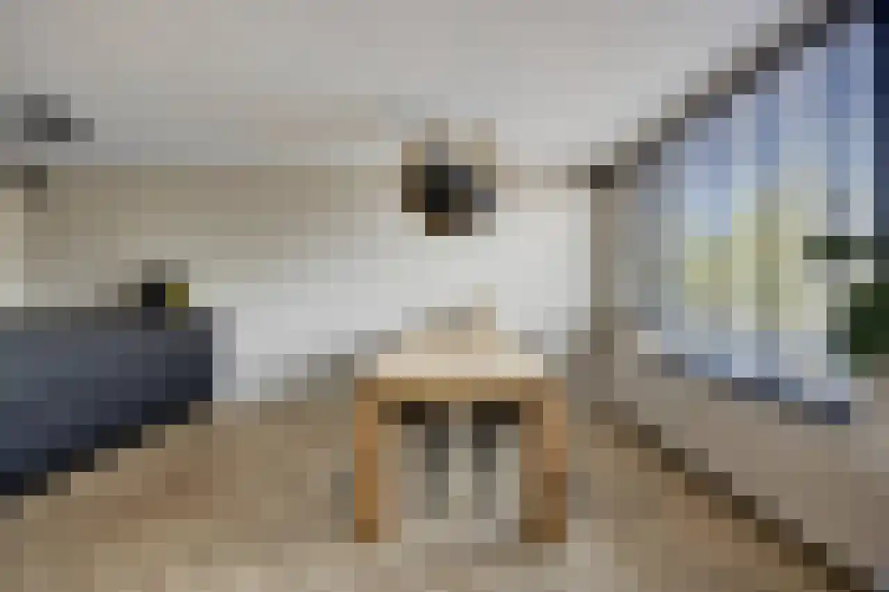 Akeleistraat 17 's-Hertogenbosch thumbnail 9