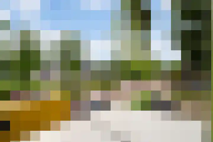 Akeleistraat 21 's-Hertogenbosch thumbnail 16