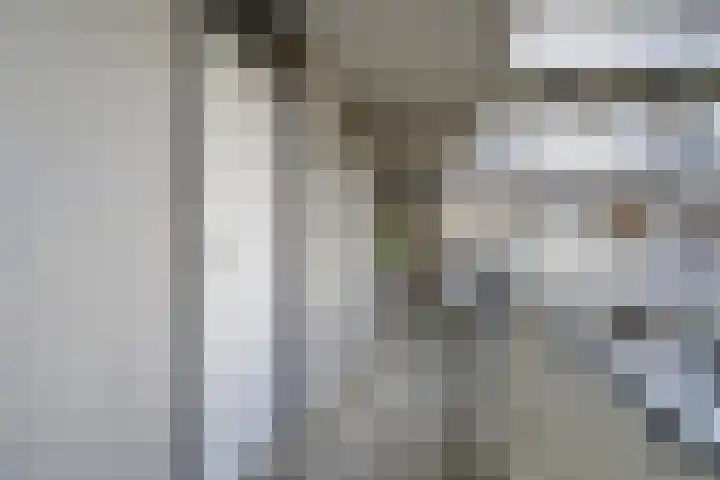 Akeleistraat 21 's-Hertogenbosch thumbnail 27