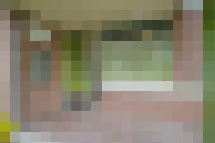 Akeleistraat 21 's-Hertogenbosch thumbnail 30