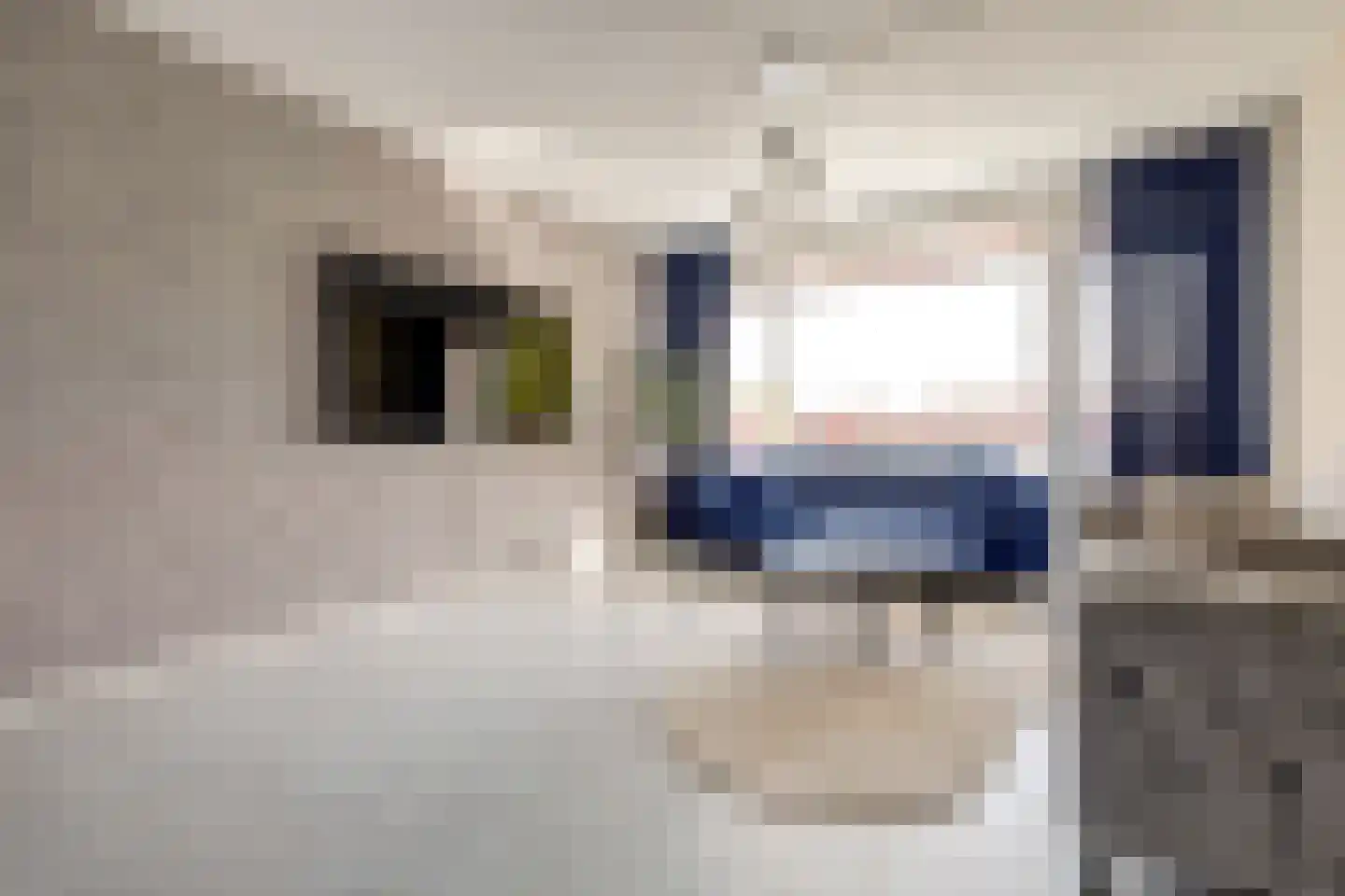 Akeleistraat 24 A Spijkenisse thumbnail 11