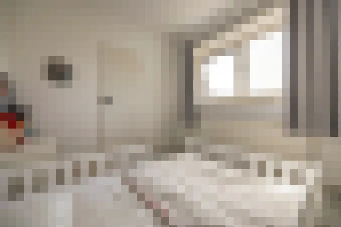 Akeleistraat 24 A Spijkenisse thumbnail 24