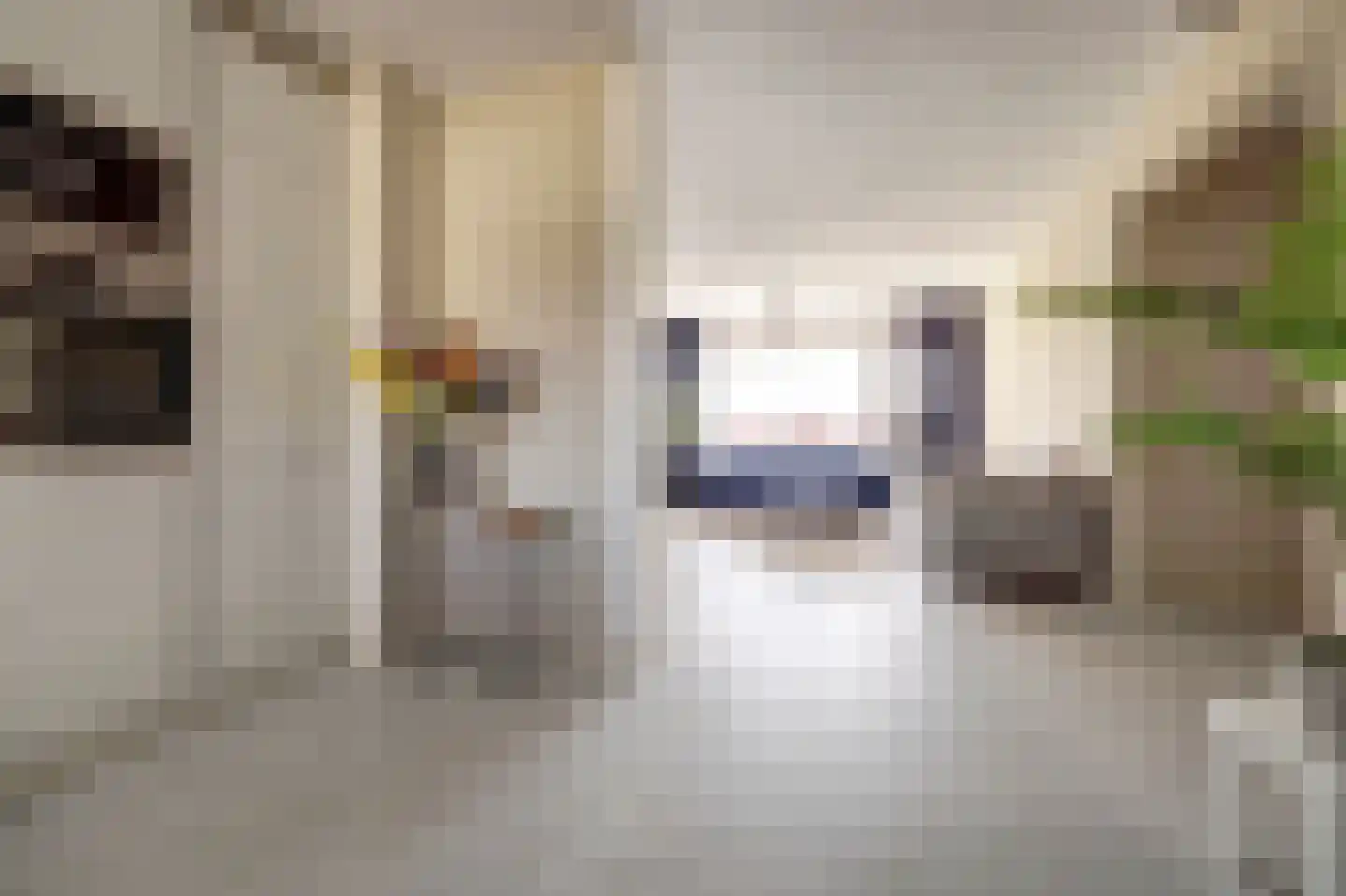 Akeleistraat 24 A Spijkenisse thumbnail 5