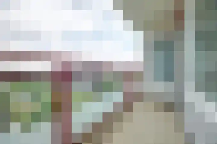 Akeleistraat 24 H Spijkenisse thumbnail 8