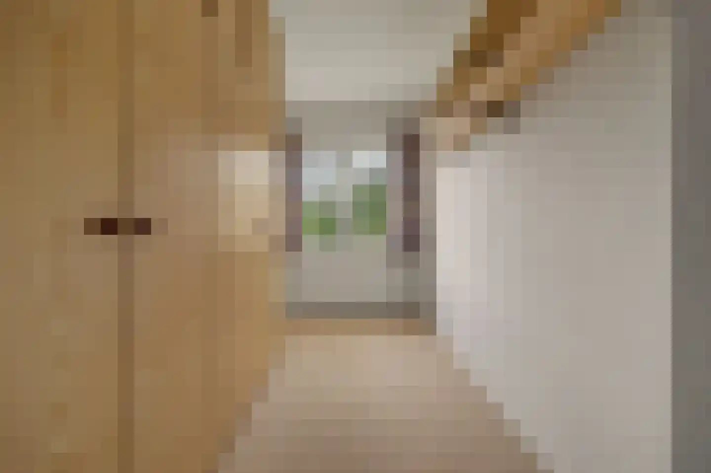 Akeleistraat 24 Spijkenisse thumbnail 18