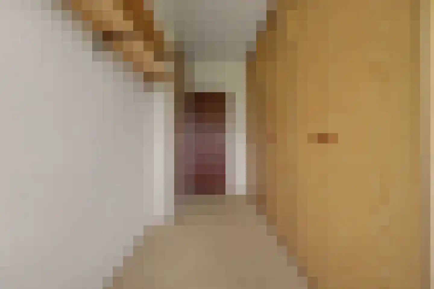 Akeleistraat 24 Spijkenisse thumbnail 19