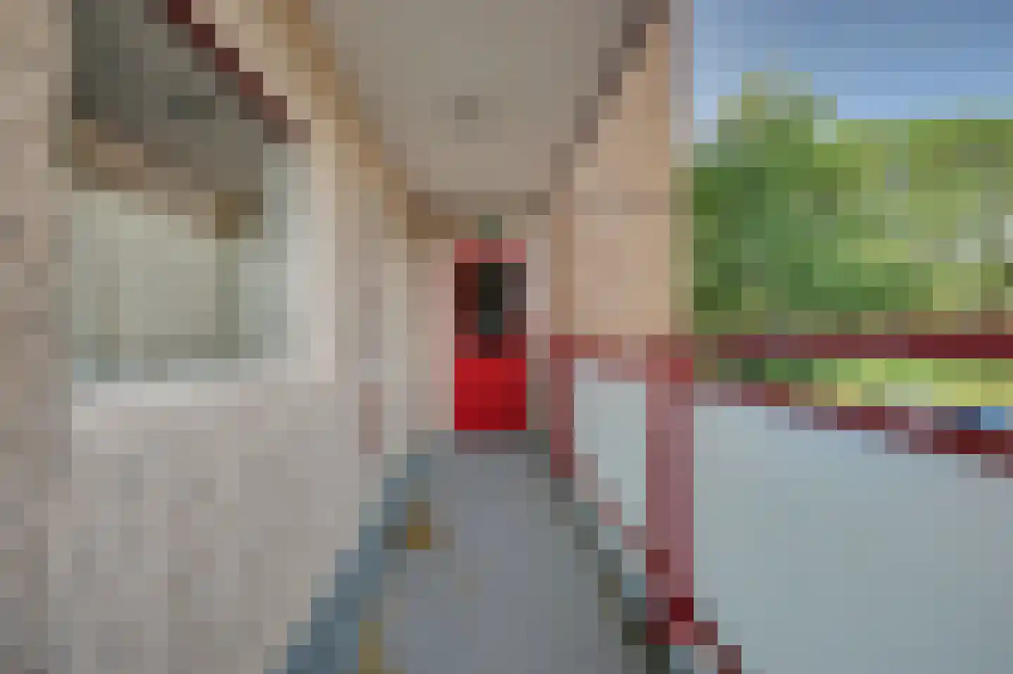 Akeleistraat 24 Spijkenisse thumbnail 7