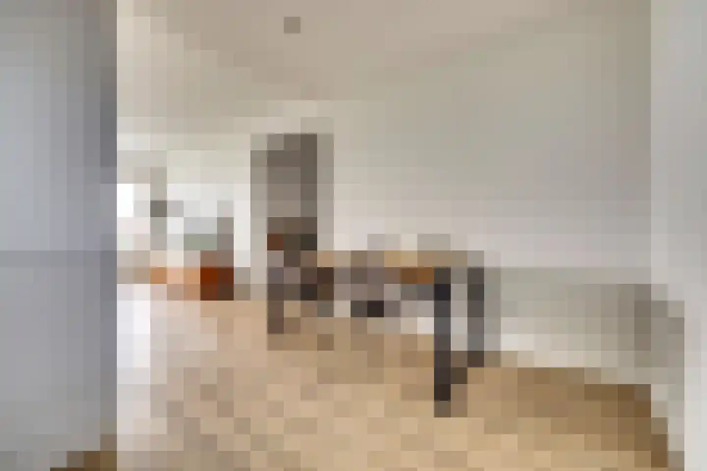 Akeleistraat 26 E Spijkenisse thumbnail 16